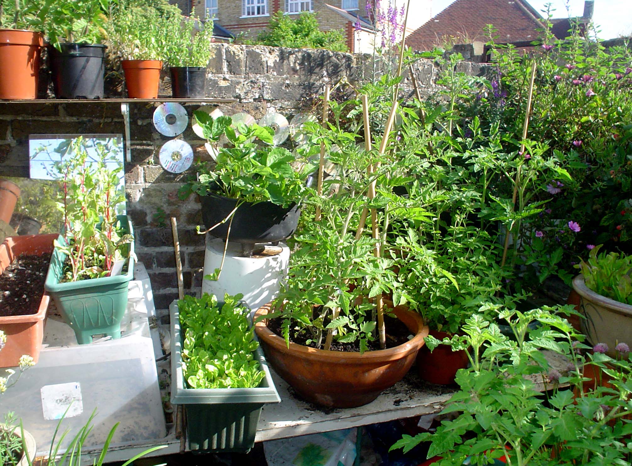 Who said shelving had to be for indoors only?